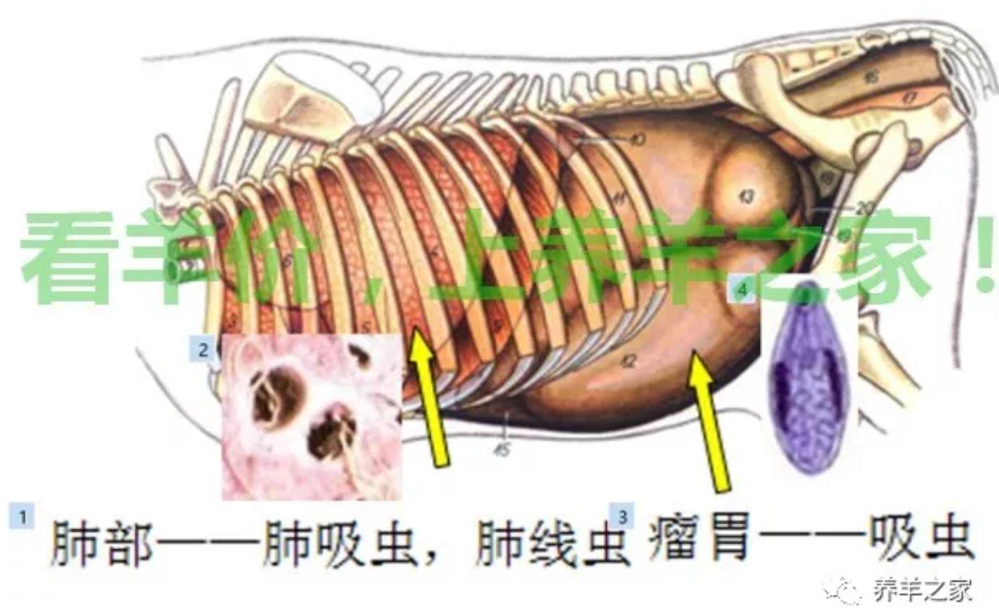 微信截图_20241126152737.jpg