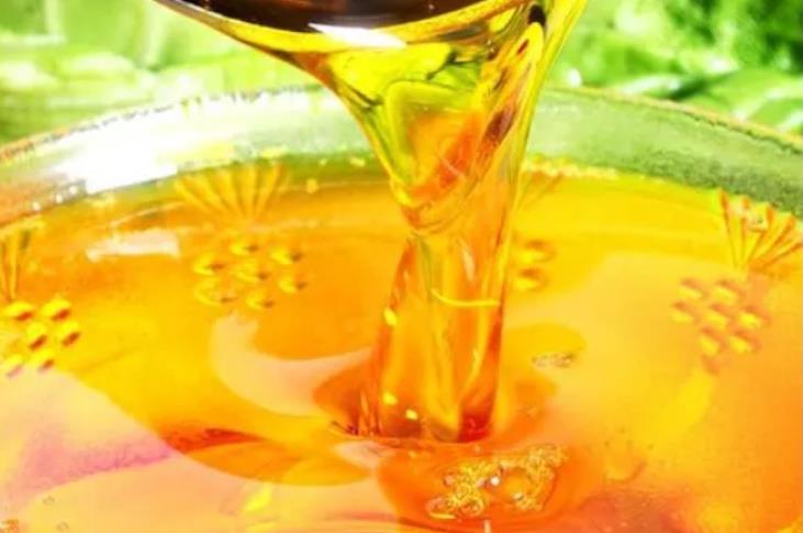 给牛加点水、喂点“油”，养牛挣钱不用愁