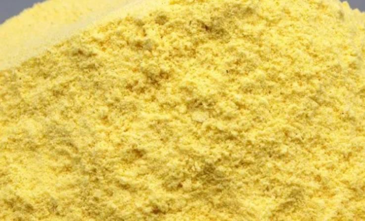 玉米面烫熟喂牛怎么样？你绝对不知道！