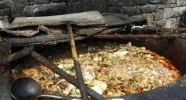 泔水-到底能不能喂牛？