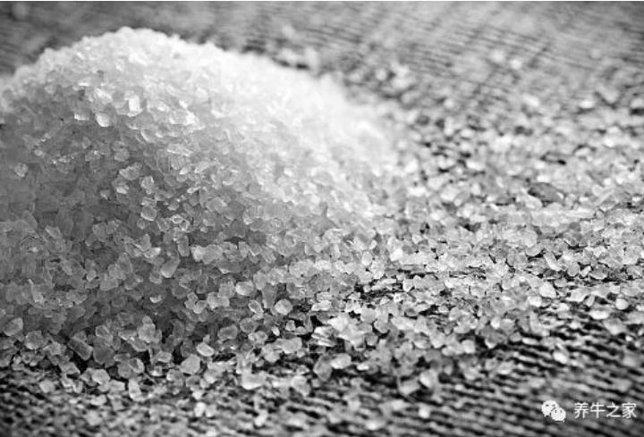 怪不得你家的牛总有问题，那是因为盐没喂好