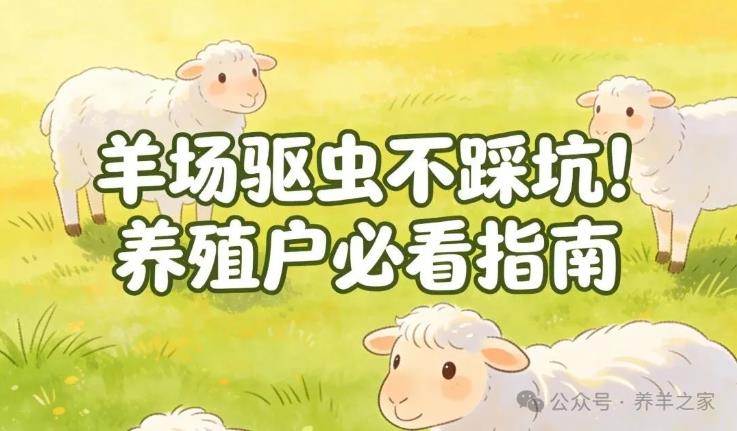 羊场驱虫不踩坑！最佳时间+常见寄生虫识别，养殖户必看