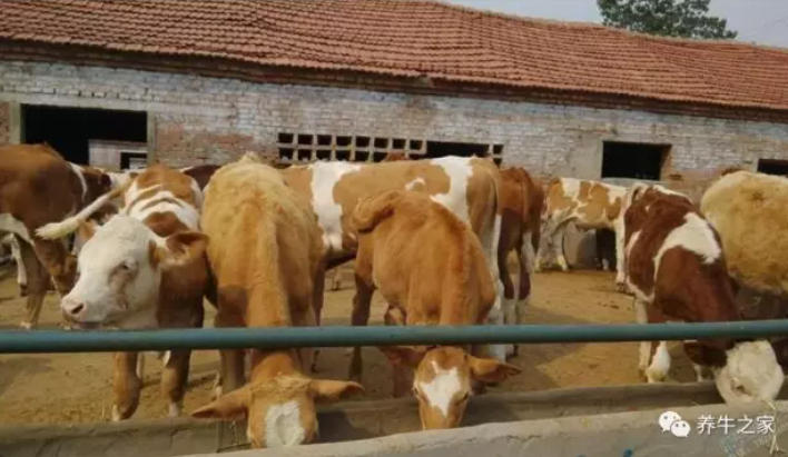 “春不盐，夏不饱；冬不盐，不吃草”，你知道原因吗？