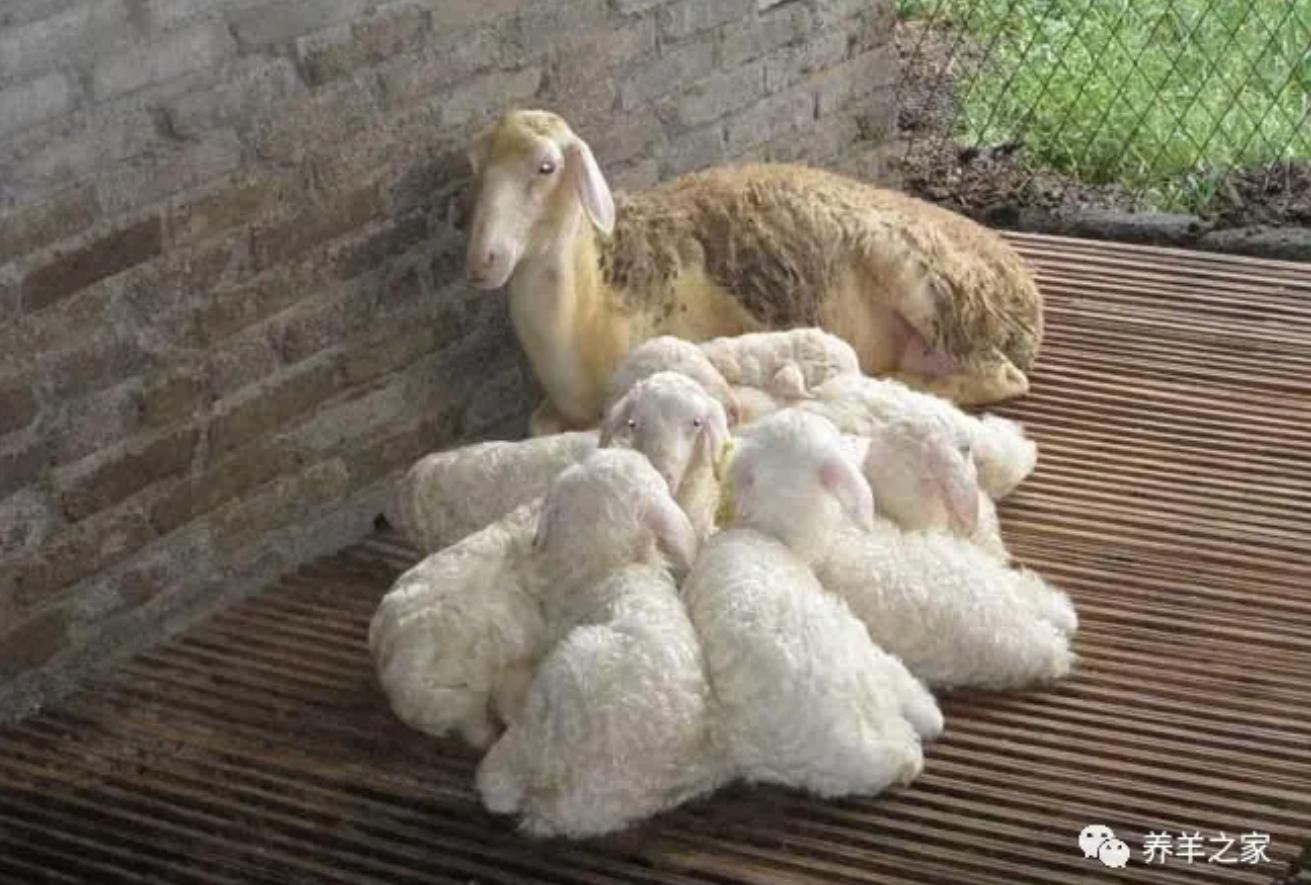 ScreenShot_2026-04-17_173510_441.jpg